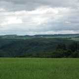 DSCF2032