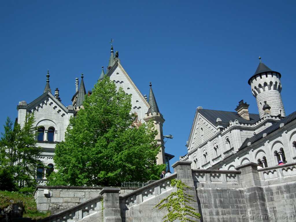 DSCF1696