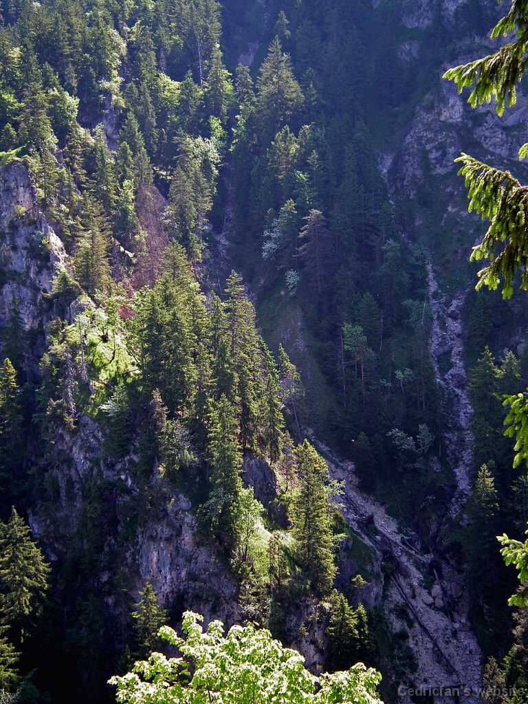 DSCF1697