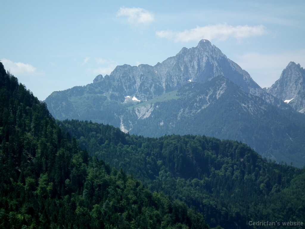 DSCF1700