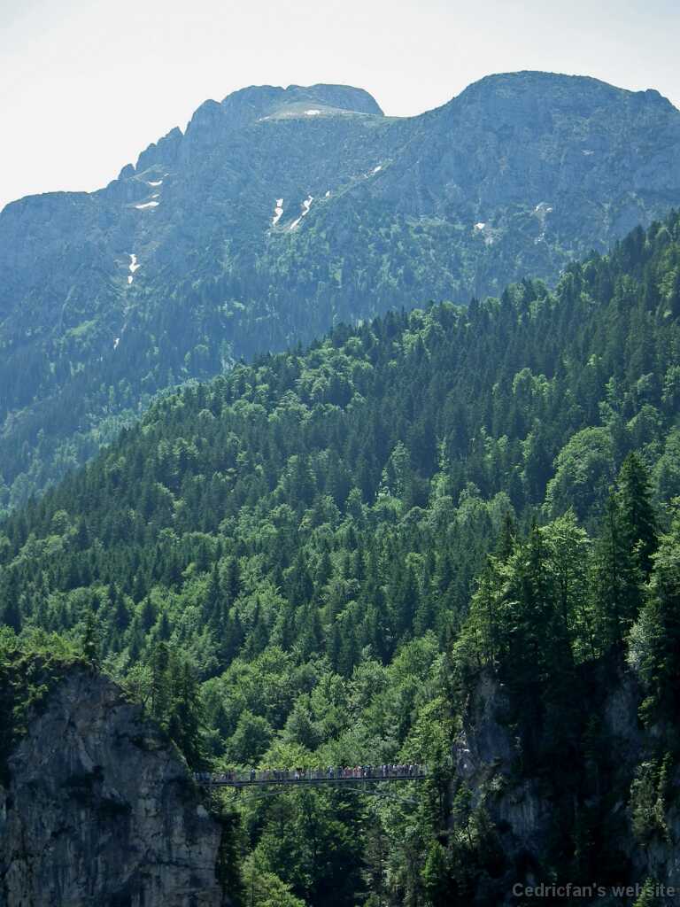DSCF1701