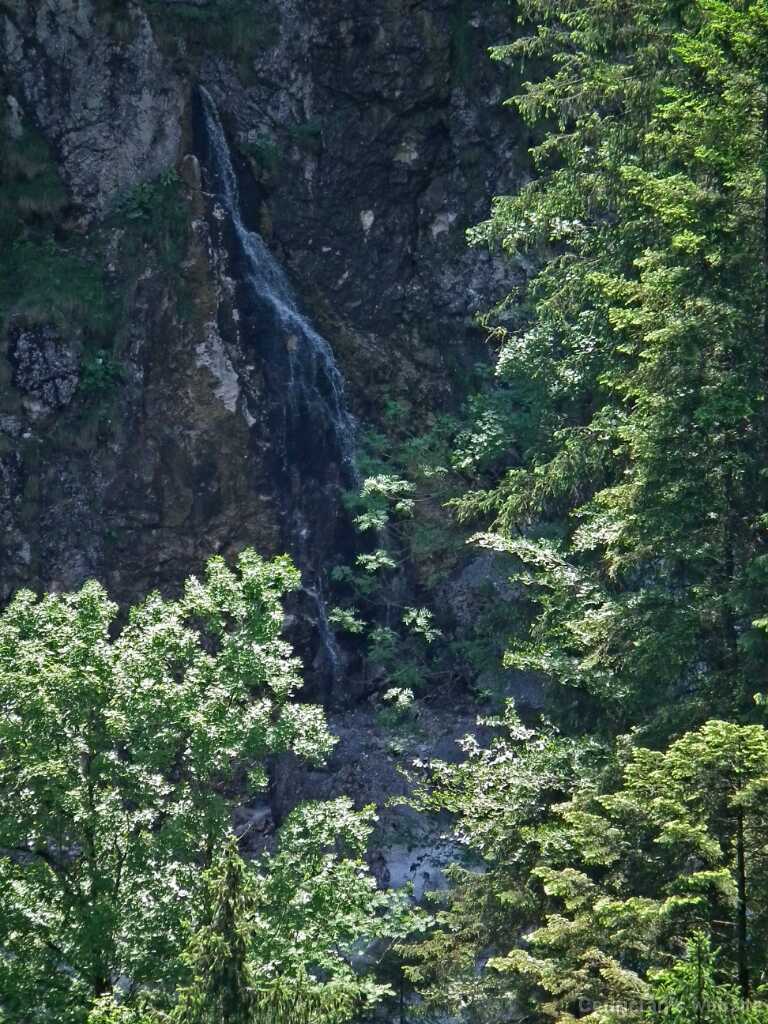 DSCF1703