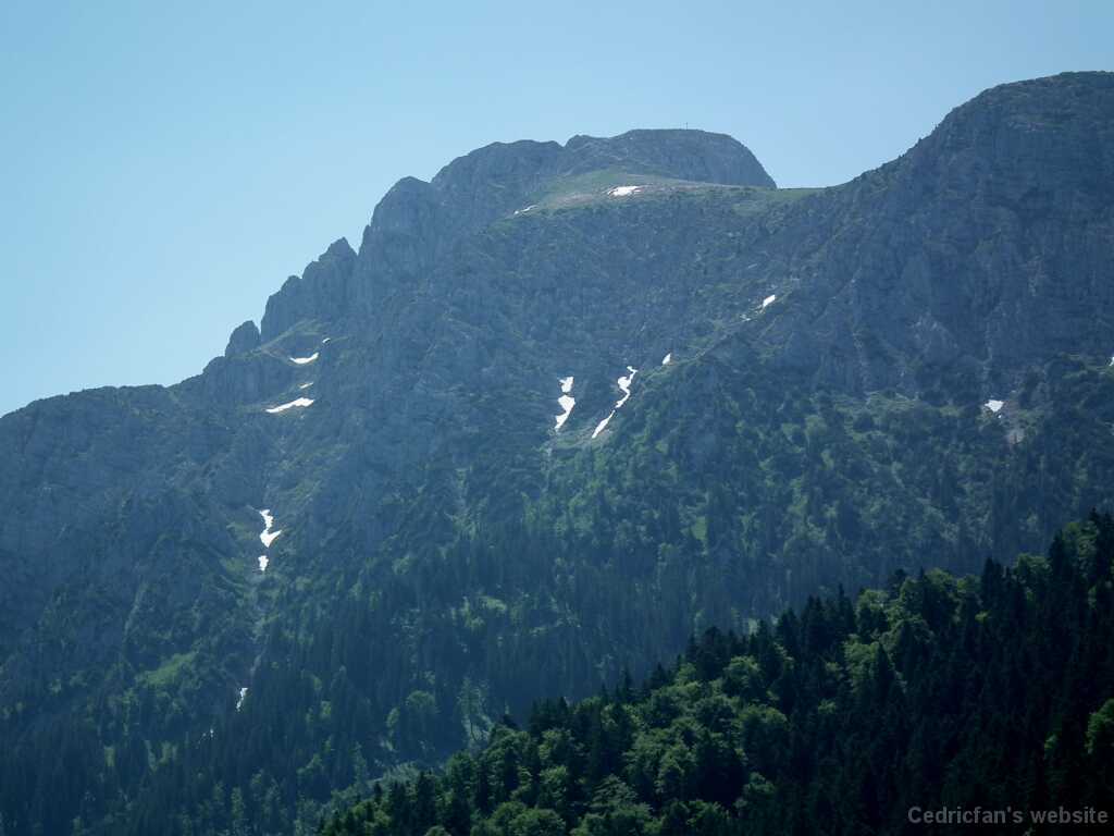 DSCF1704