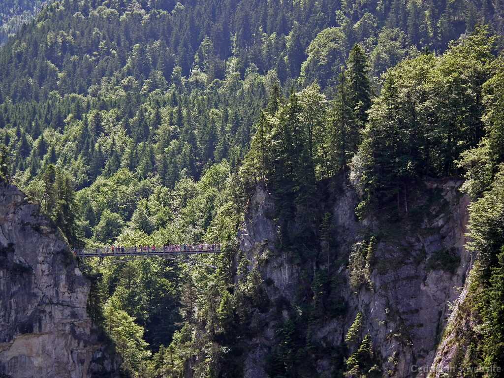 DSCF1705