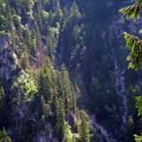 DSCF1697