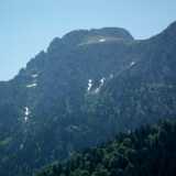 DSCF1704