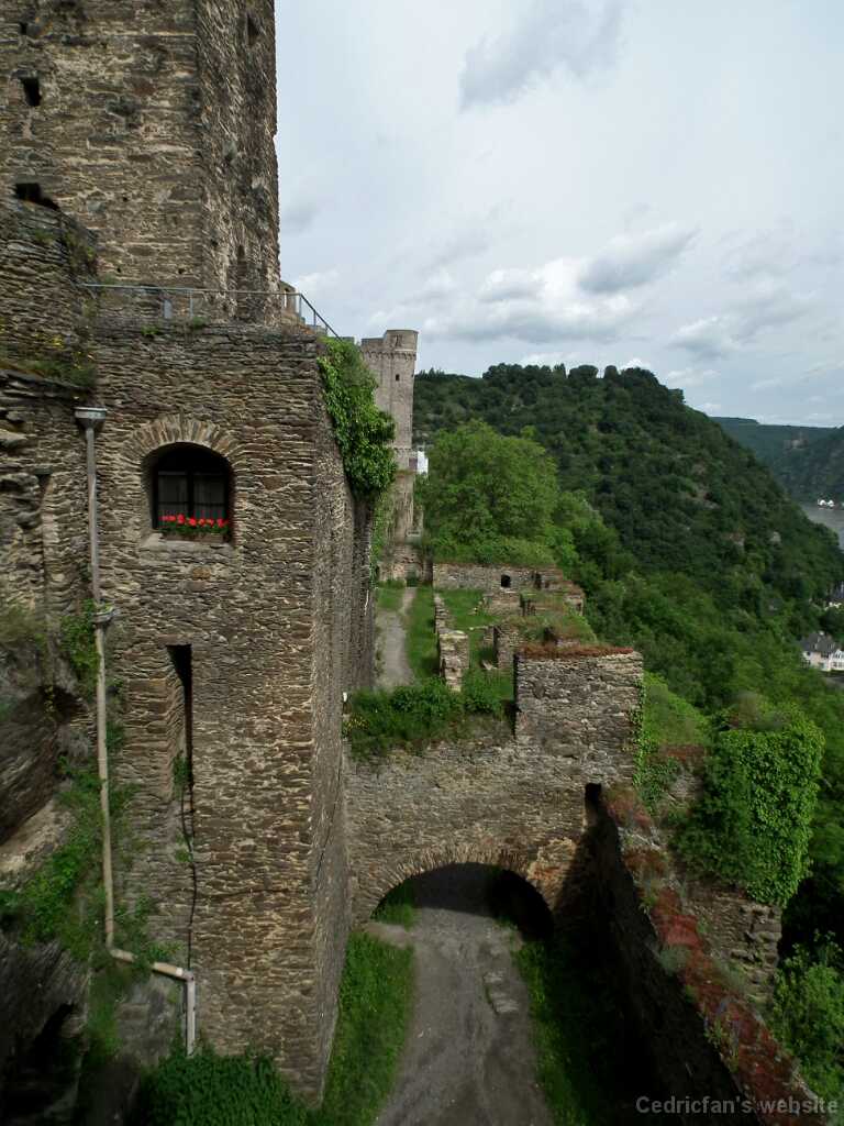 DSCF1318