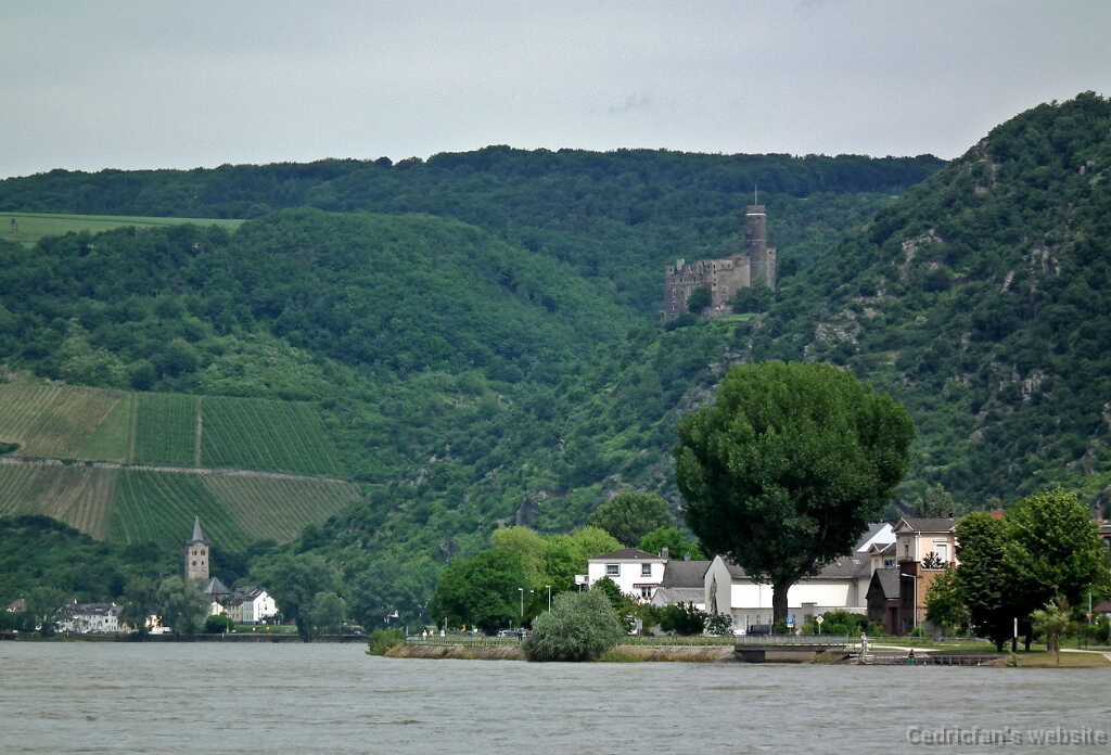 DSCF1334