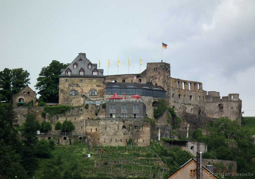 DSCF1335