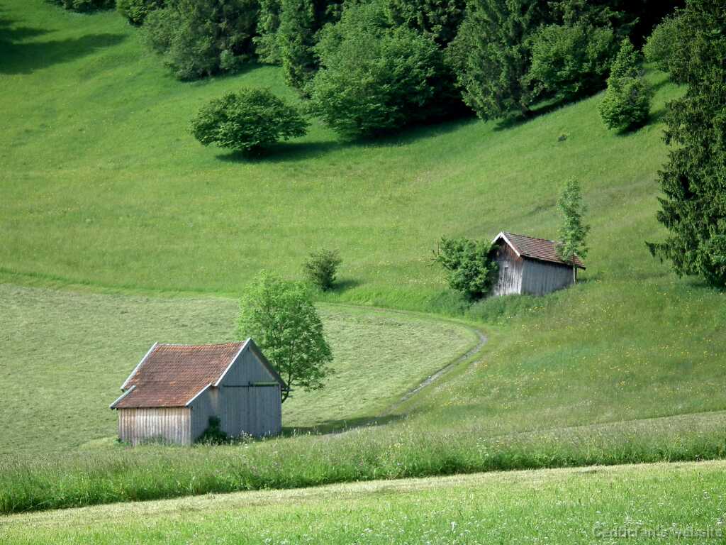 DSCF1370