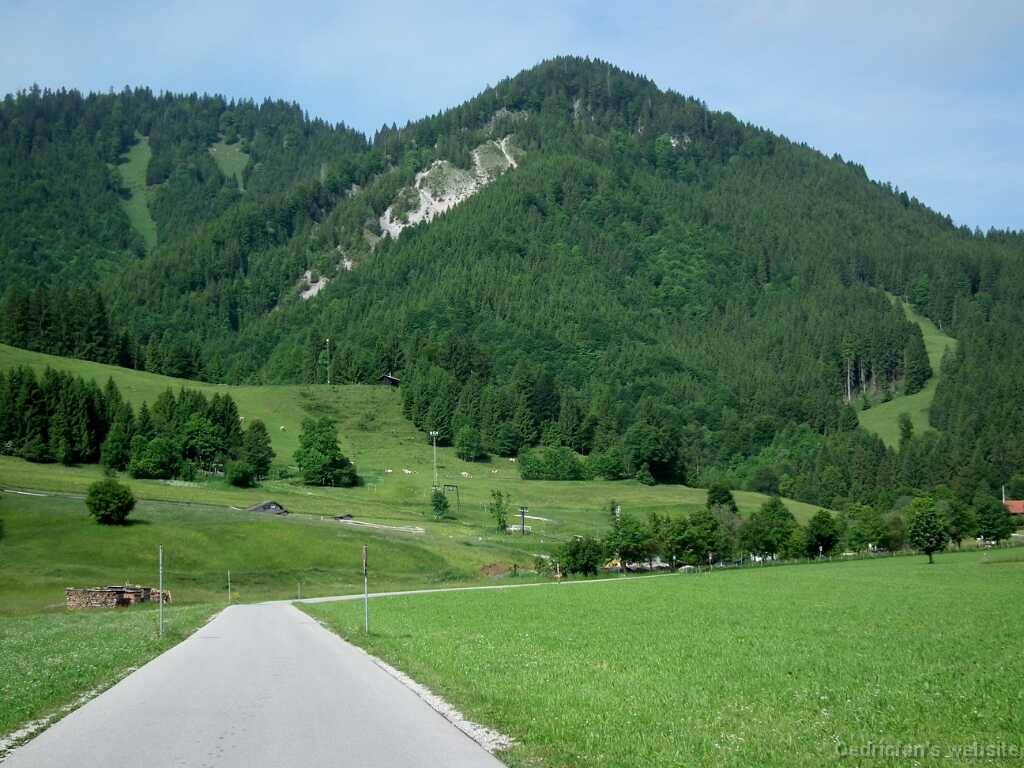 DSCF1373