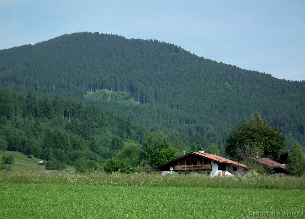 DSCF1375