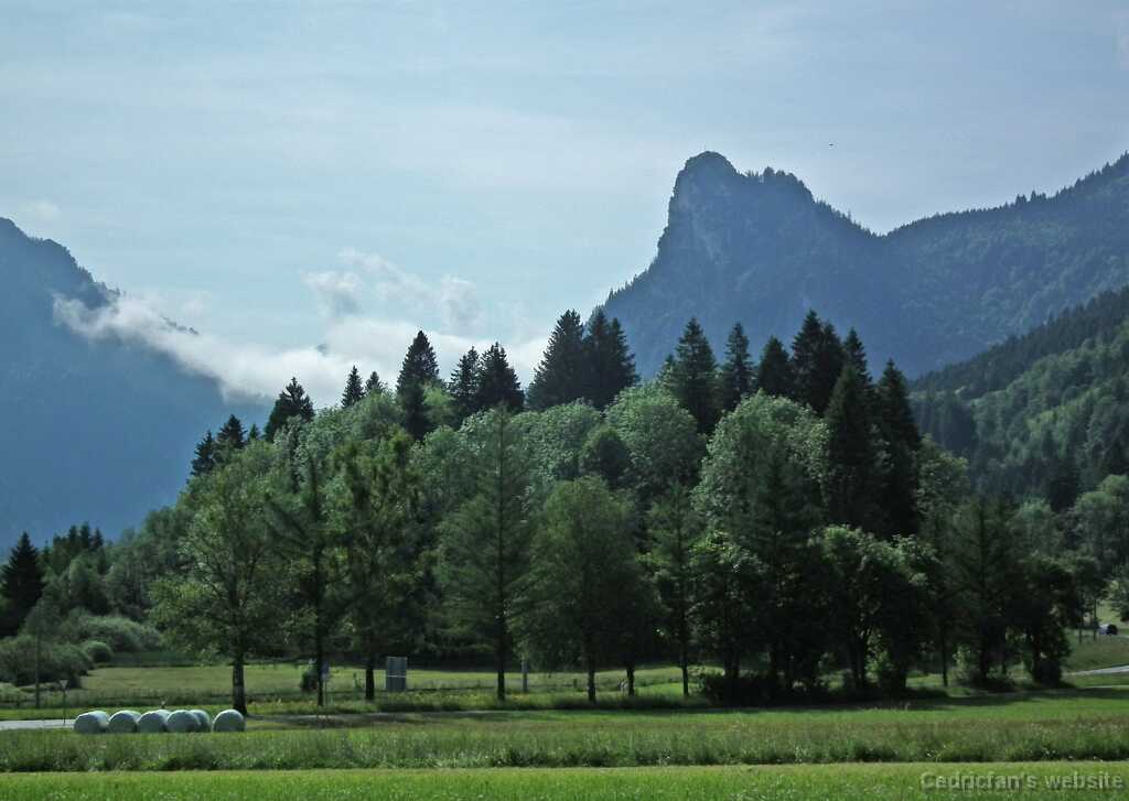 DSCF1376