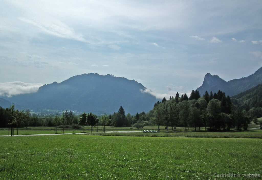 DSCF1377