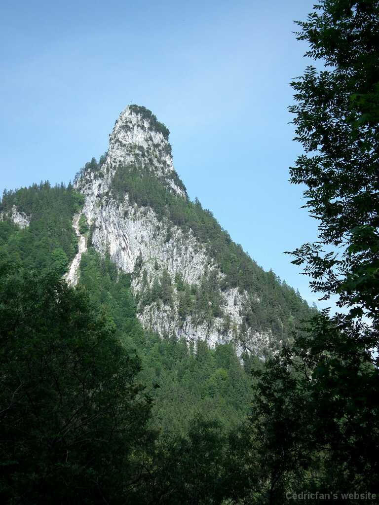 DSCF1380
