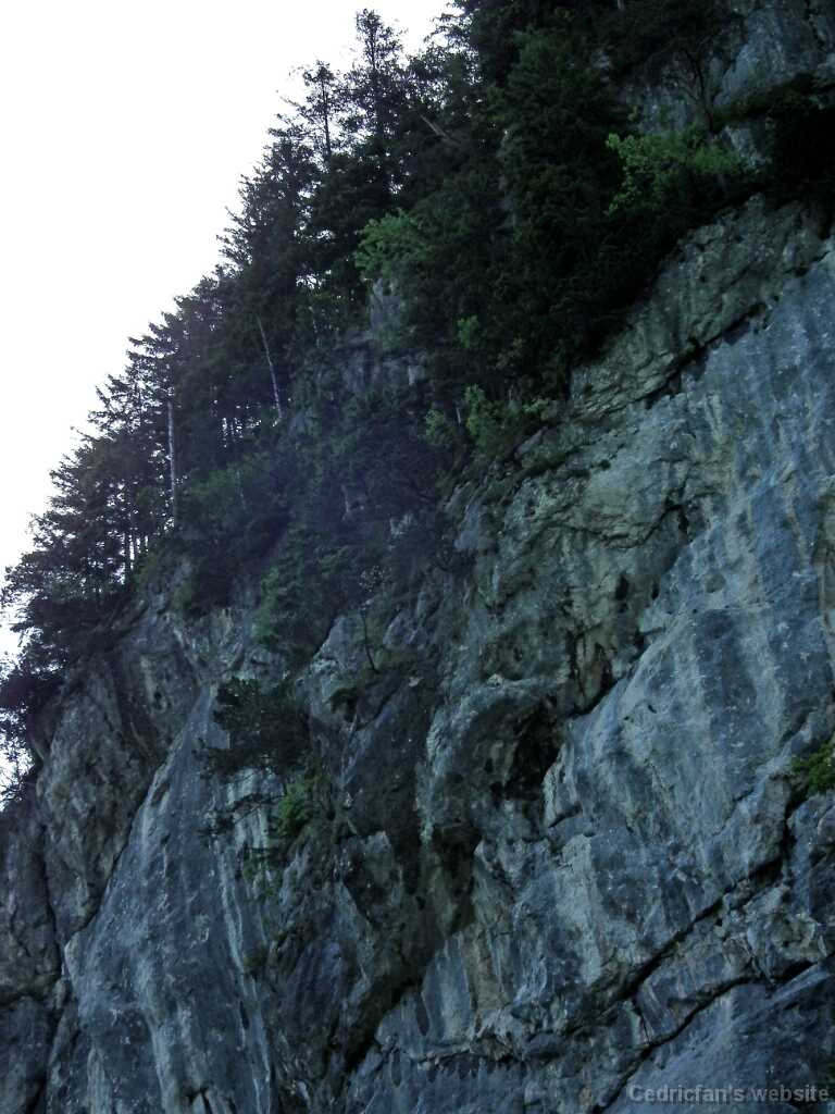 DSCF1381