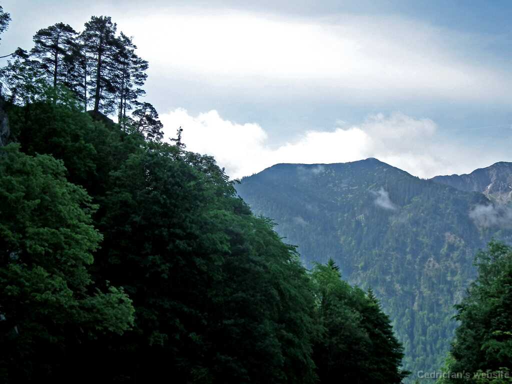 DSCF1383