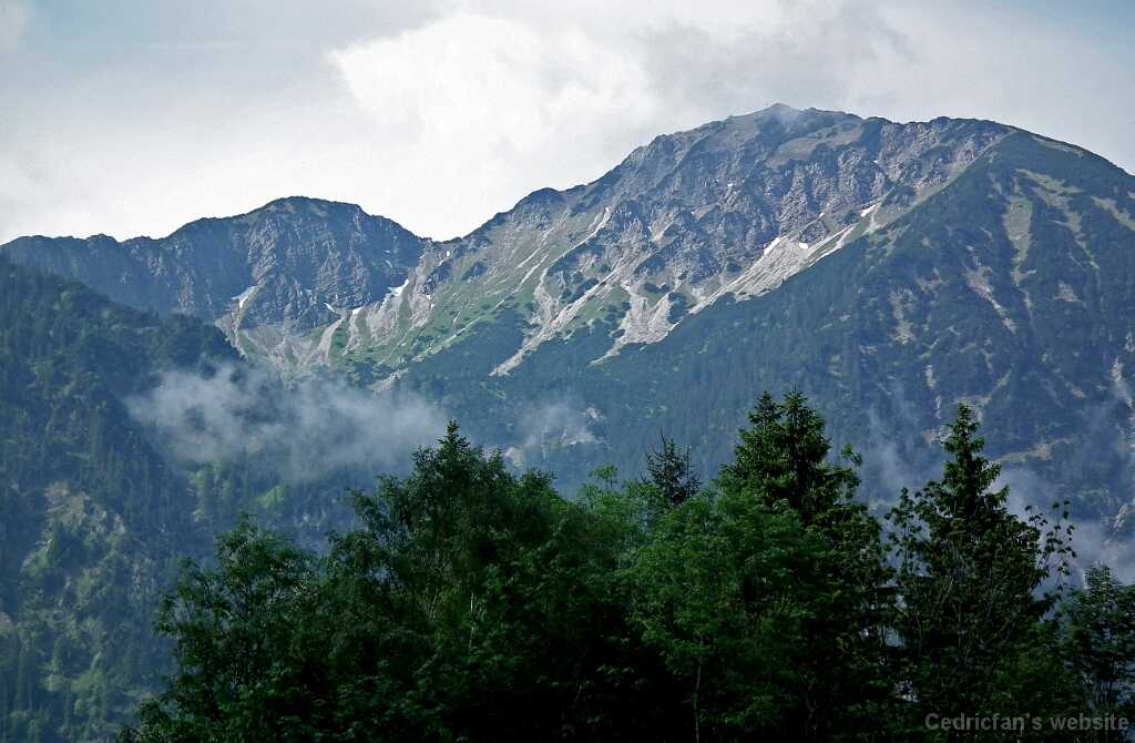 DSCF1384