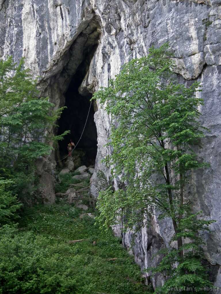 DSCF1388