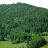 DSCF1371