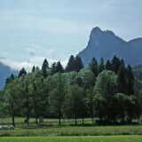 DSCF1376