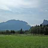 DSCF1377