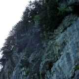 DSCF1381