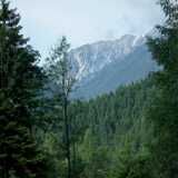 DSCF1387
