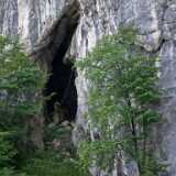 DSCF1388