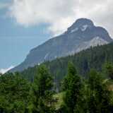 DSCF1650
