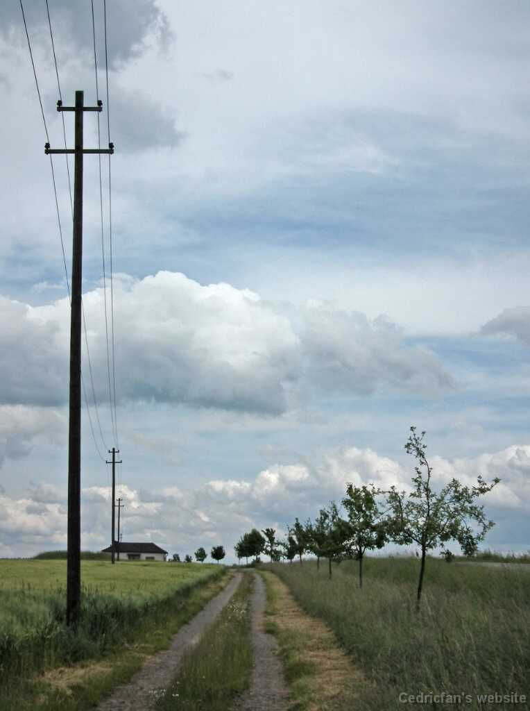 DSCF1353