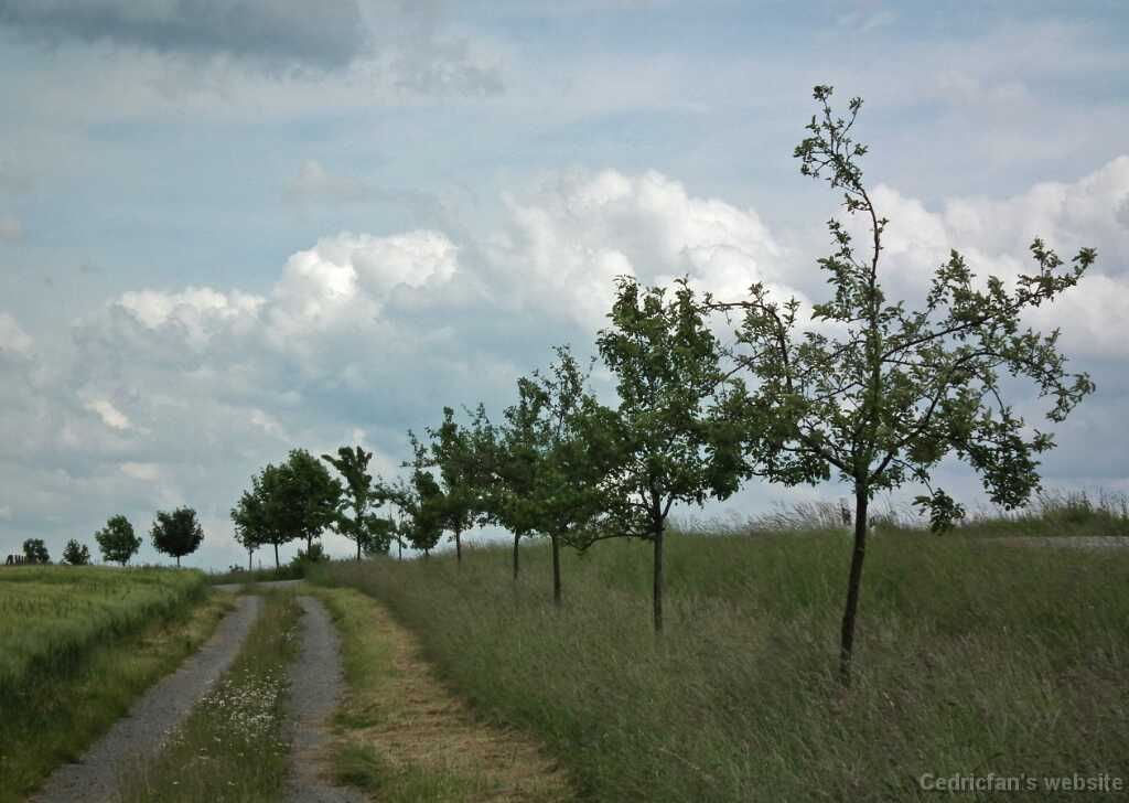 DSCF1354