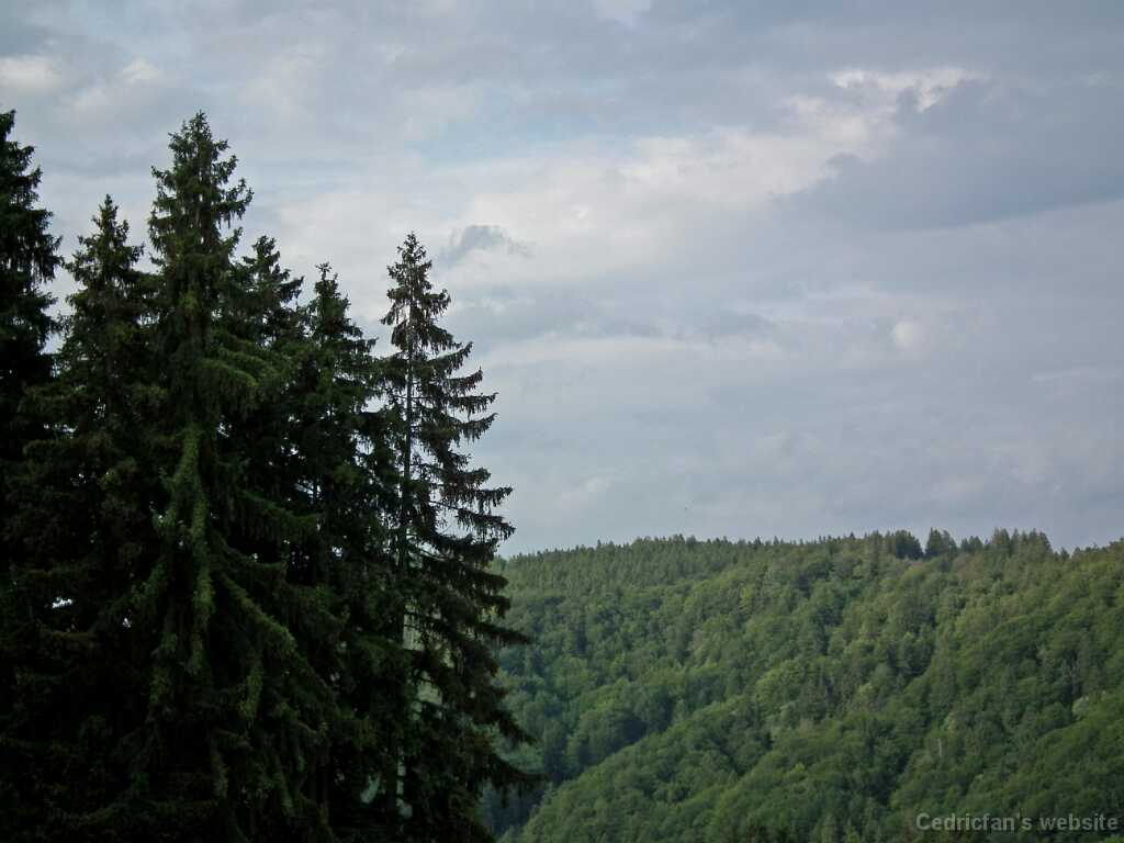 DSCF1363