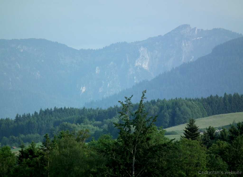 DSCF1365