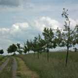 DSCF1354