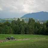 DSCF1361