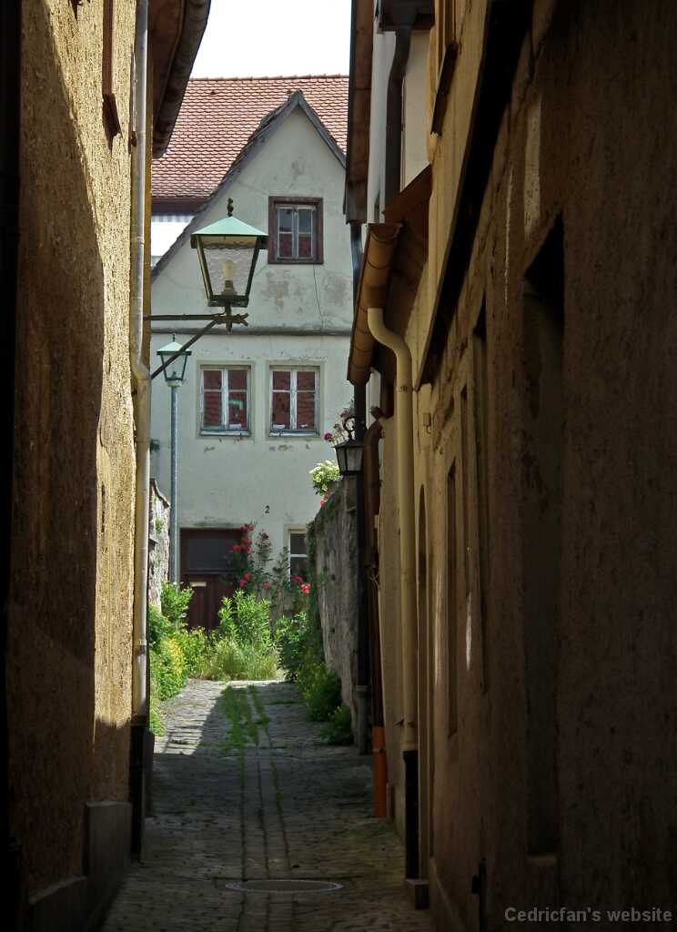DSCF1868