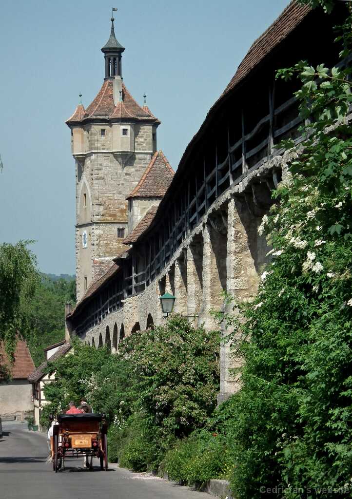 DSCF1826