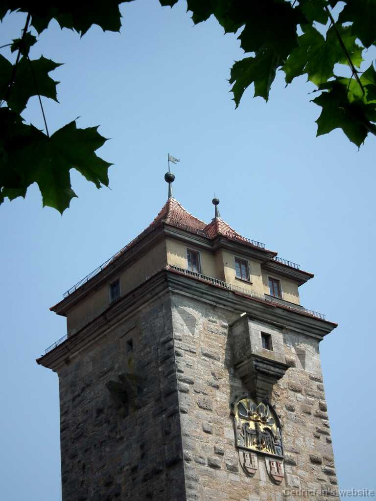 DSCF1854
