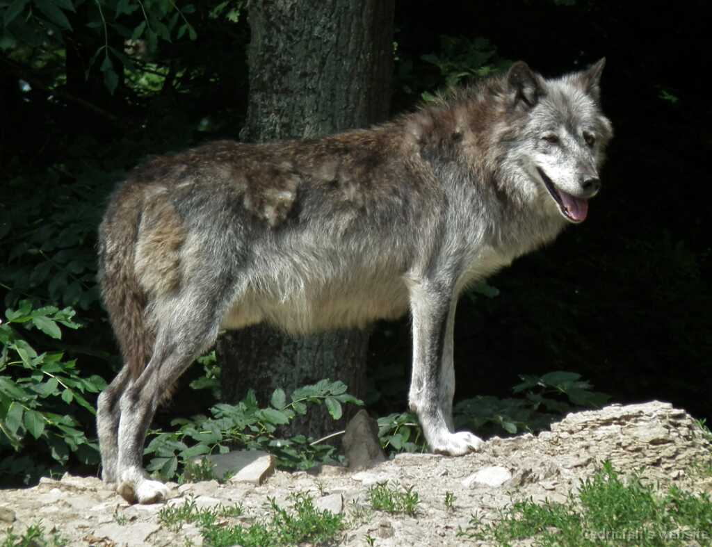 DSCF1939