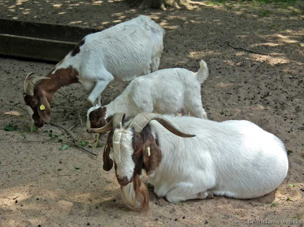DSCF1953