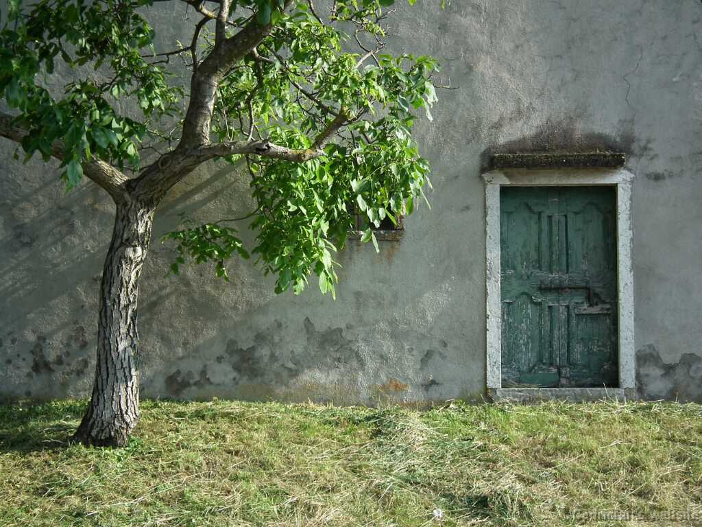 DSCF1486