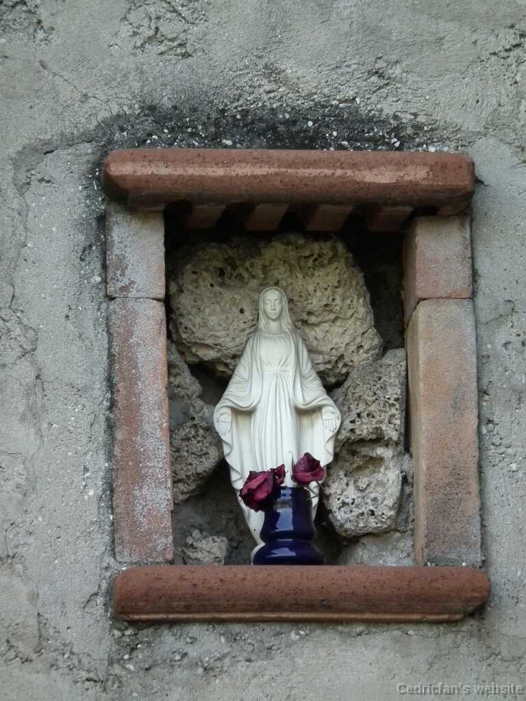 DSCF1492