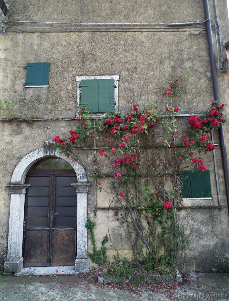DSCF1494