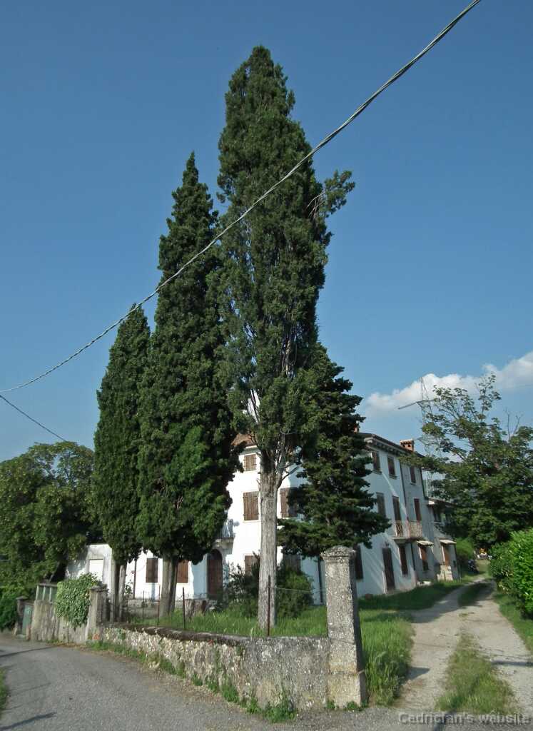 DSCF1497