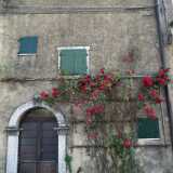 DSCF1494