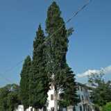 DSCF1497
