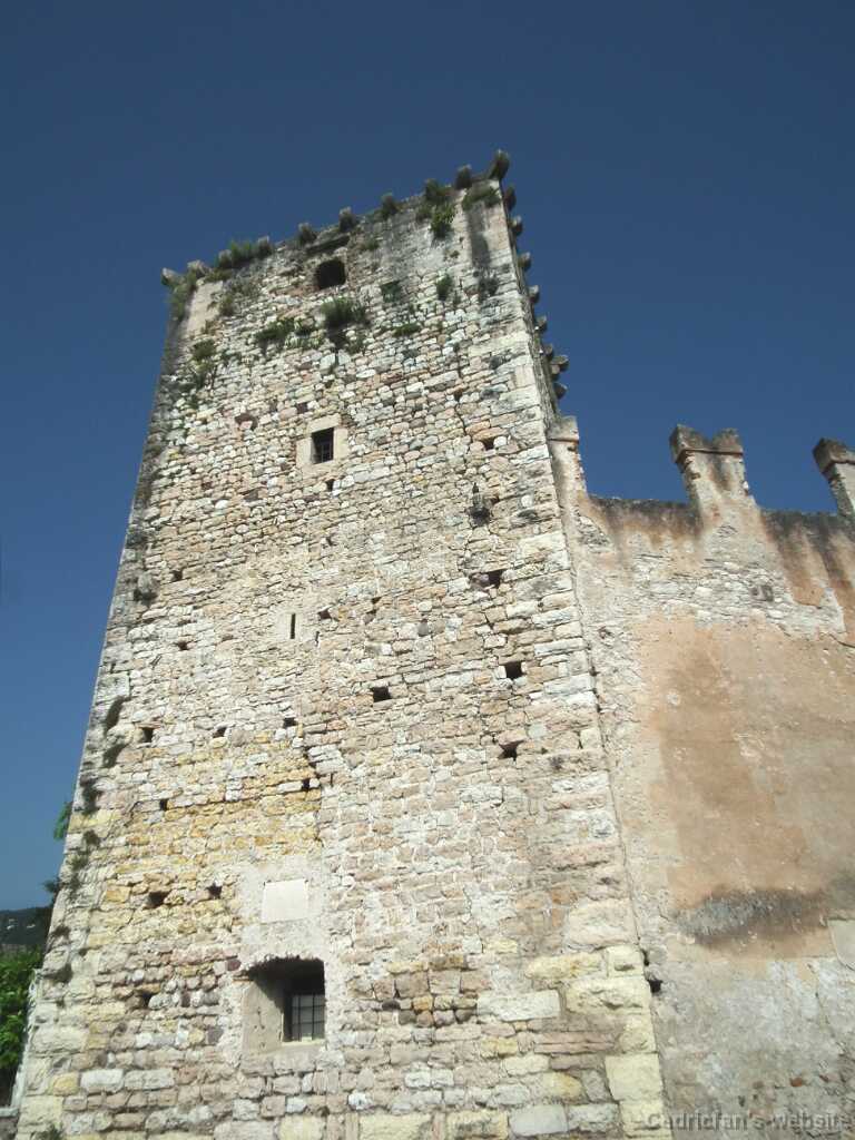 DSCF1625