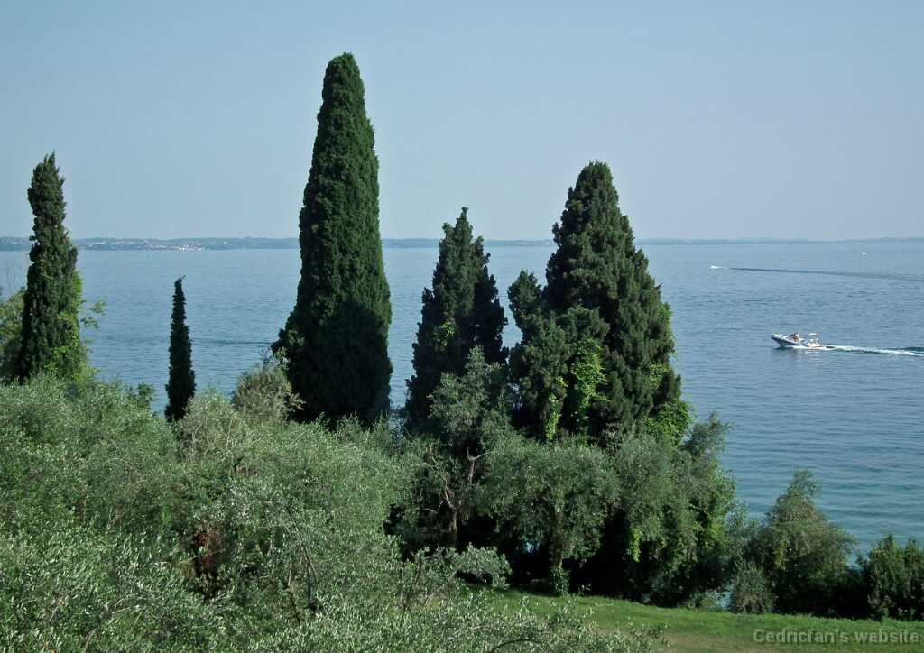 DSCF1633