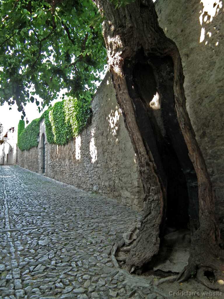 DSCF1638
